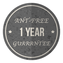 1-year-ant-free